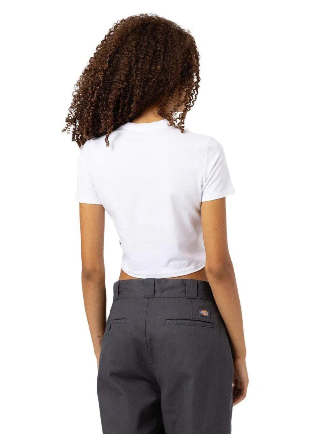 MAPLE VALLEY TEE>Dickies Hot