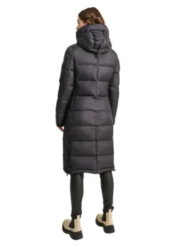 Falcon><noscript><img width=