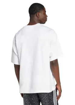 GRAPHIC OS SS T><noscript><img width=