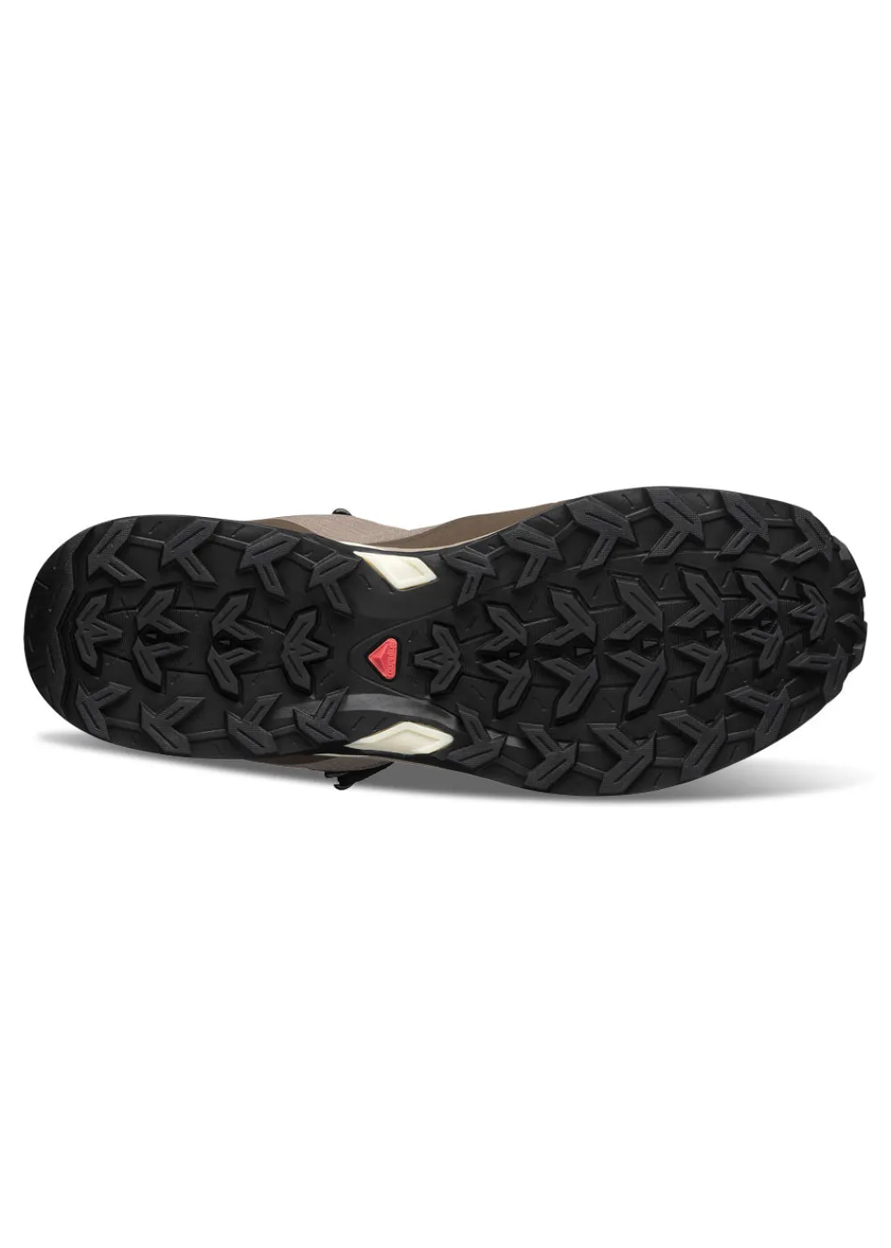 SHELTER CSWP Falcon/Vinkha/Vanila>Salomon Outlet