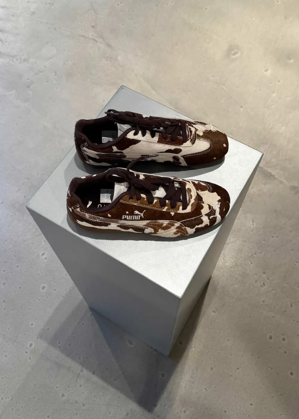 Speedcat Cow Wns>Puma Clearance