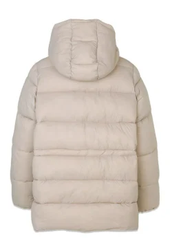 StellaMD jacket><noscript><img width=