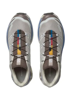 XT-6><noscript><img width=