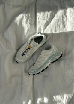 XT-6><noscript><img width=