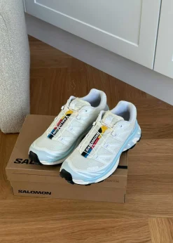 XT-6><noscript><img width=