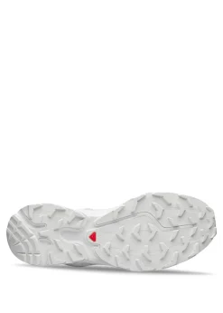 XT-6><noscript><img width=