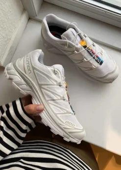 XT-6><noscript><img width=