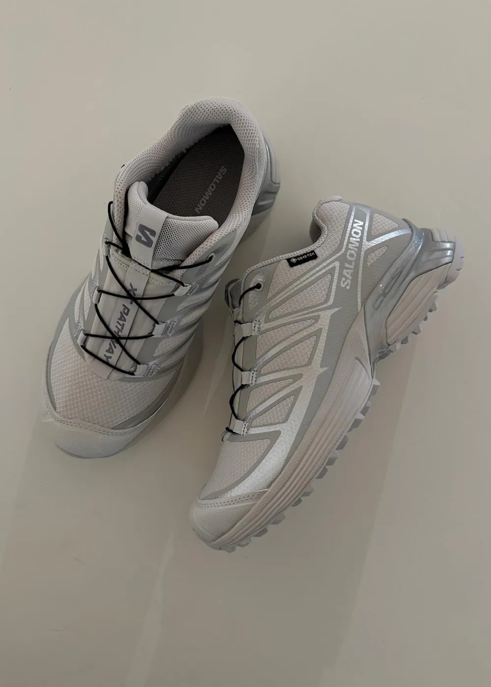 XT-PATHWAY GORE-TEX>Salomon Hot